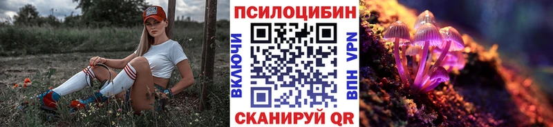 OMG ссылка  Володарск  Галлюциногенные грибы MAGIC MUSHROOMS 